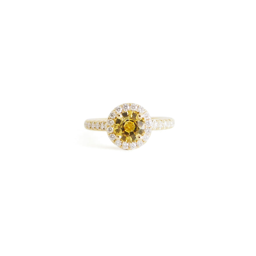 Golden Sapphire Halo in Yellow Gold